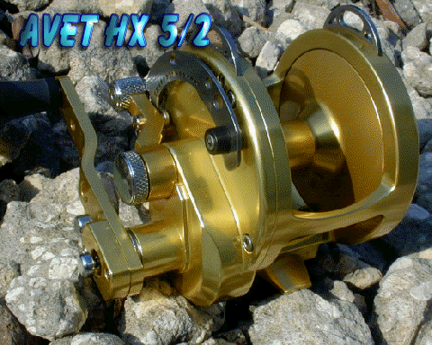Avet HS 5/2 gold Avet HS 5/2 gold
